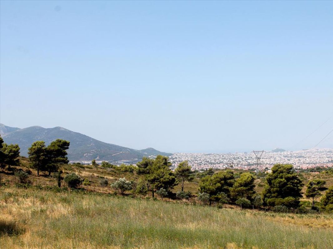 Земля в Афинах, Греция, 22 000 сот. - фото 1