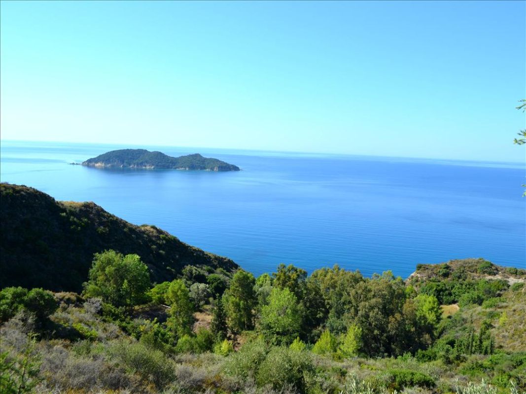 Земля на Ионических островах, Греция, 30 000 сот. - фото 1