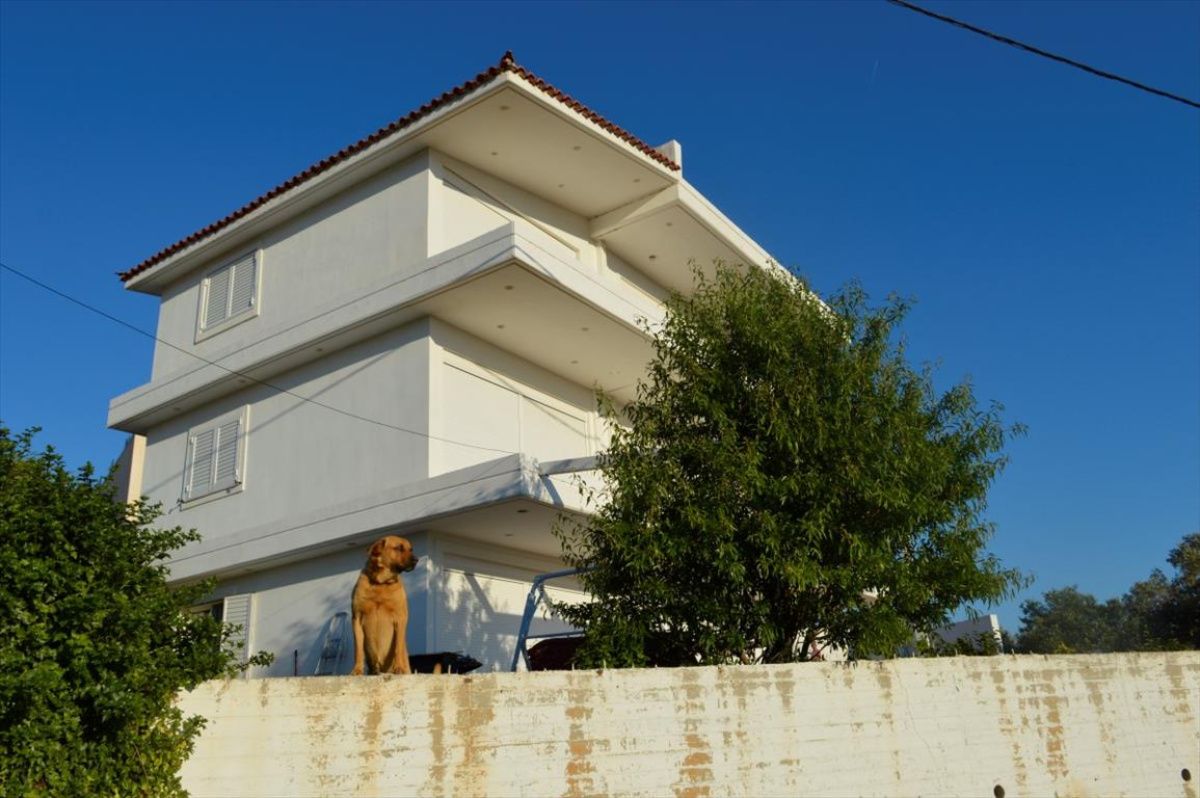 Дом в Афинах, Греция, 300 м2 - фото 1