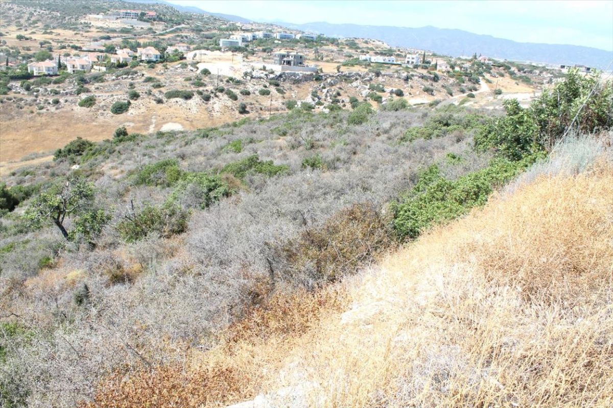 Земля в Лимасоле, Кипр, 4 028 сот. - фото 1