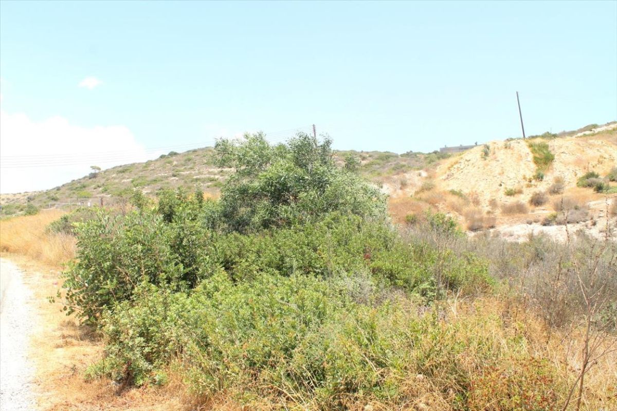 Земля в Лимасоле, Кипр, 4 920 сот. - фото 1