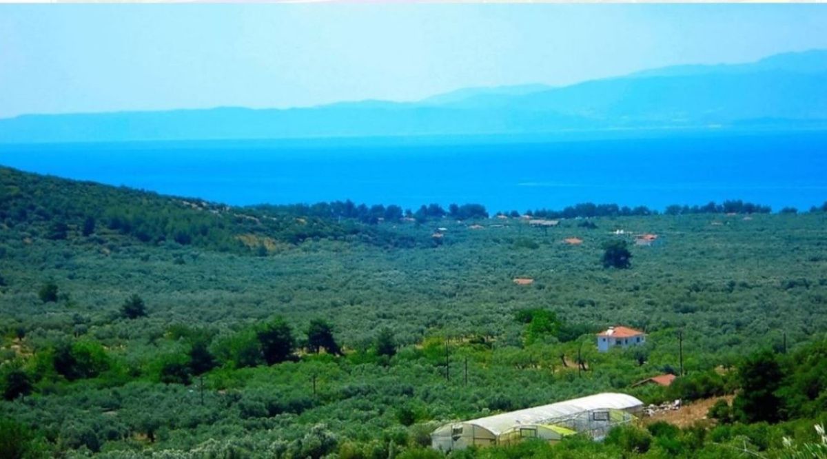 Земля в Кавале, Греция, 25 000 сот. - фото 1