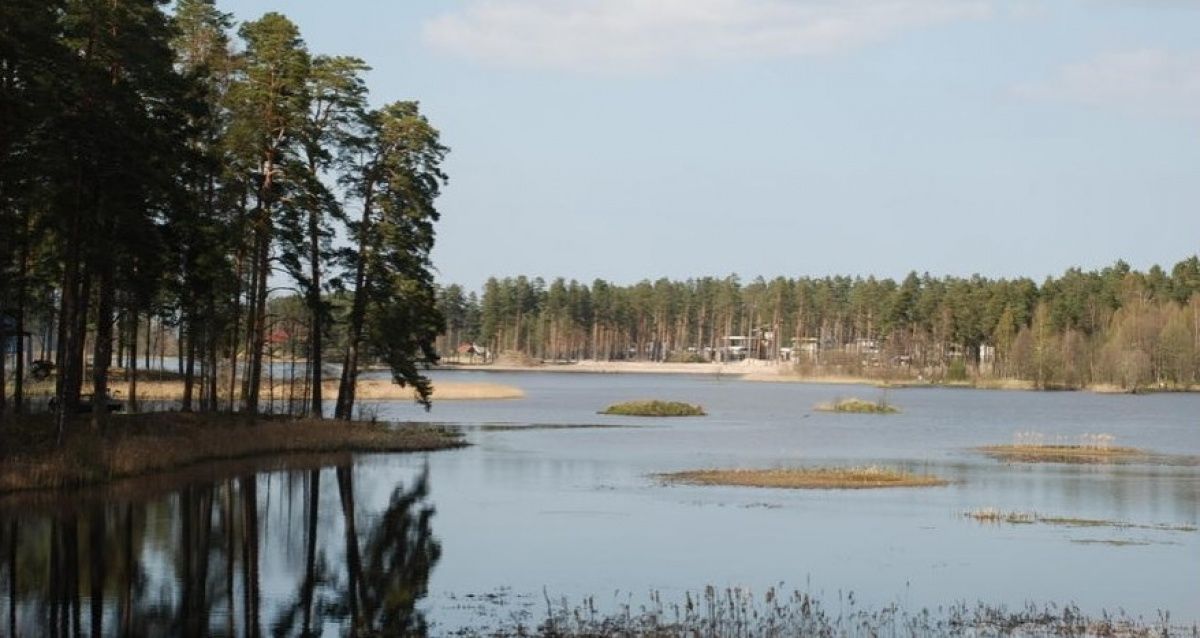 Земля в Рижском крае, Латвия, 58 000 сот. - фото 1