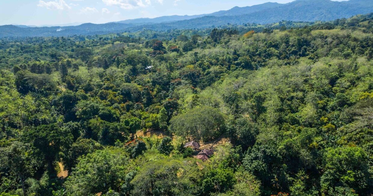 Земля в Пуэрто-Плата, Доминиканская Республика, 70 337 м² - фото 2