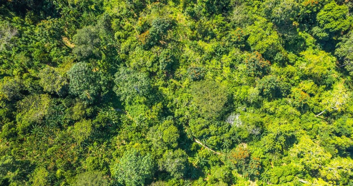 Земля в Пуэрто-Плата, Доминиканская Республика, 70 337 м² - фото 5