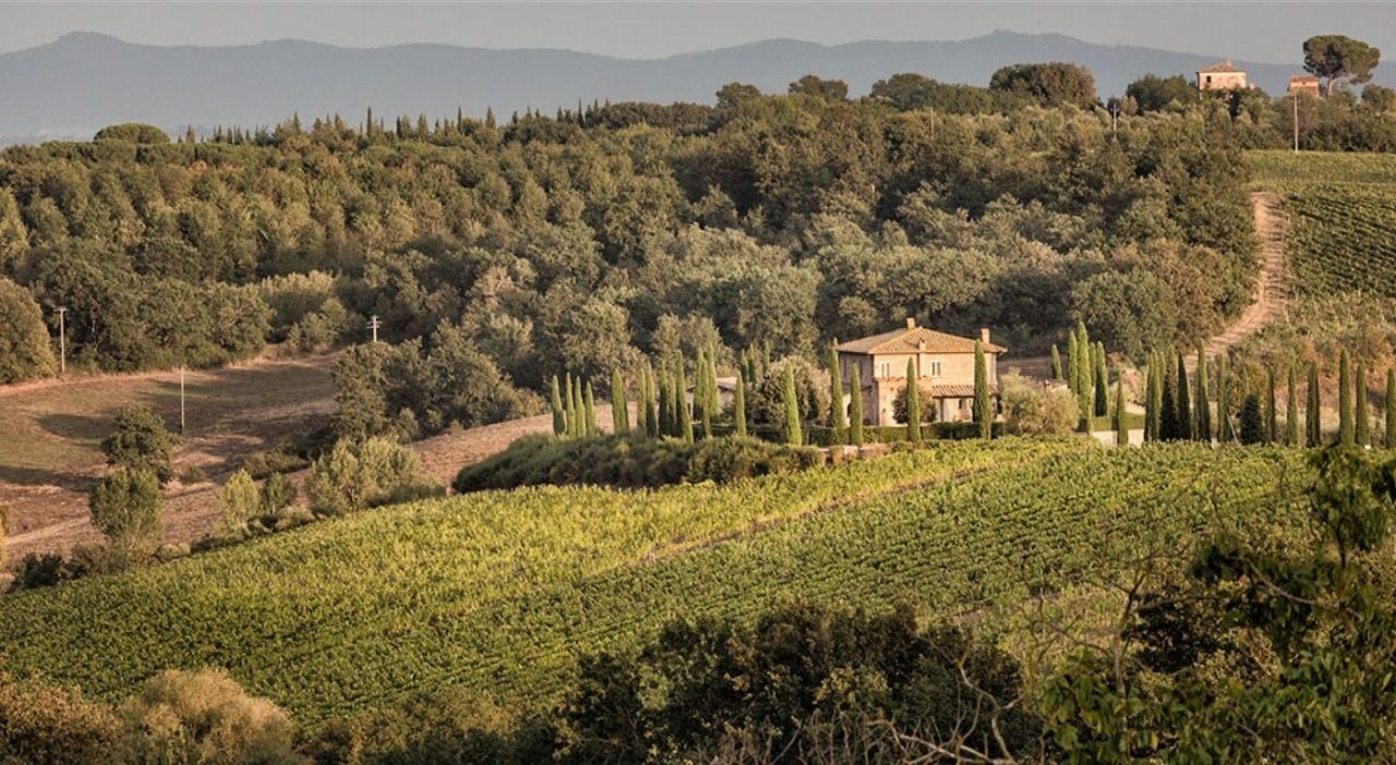 Отель, гостиница в Монтепульчано, Италия, 785 м² - фото 3