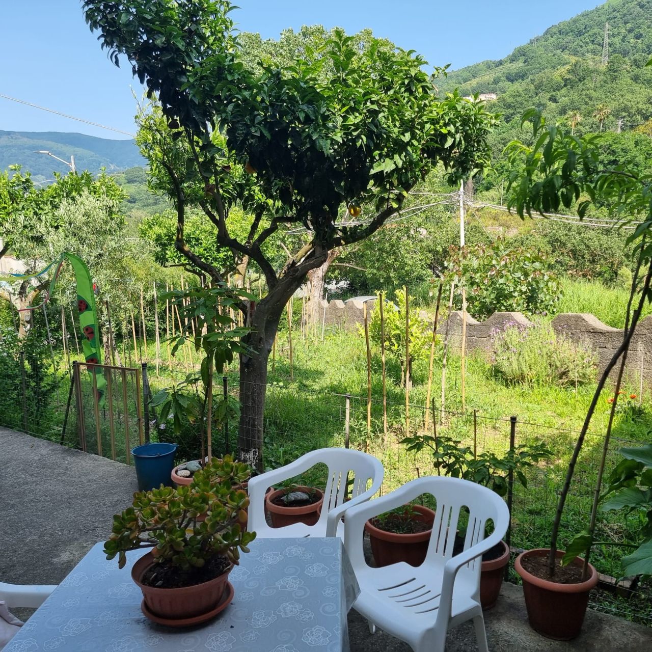 Дом в Четраро, Италия, 322 м² - фото 17