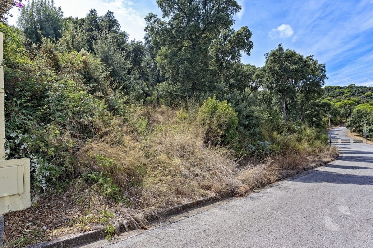 Земля на Коста-Брава, Испания, 3 753 сот. - фото 2