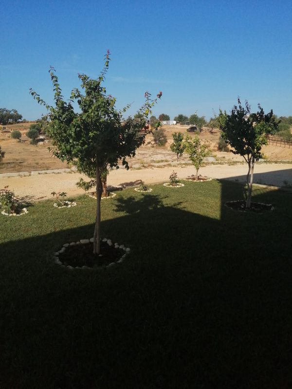 Поместье в Алгарве, Португалия, 101 520 м² - фото 3