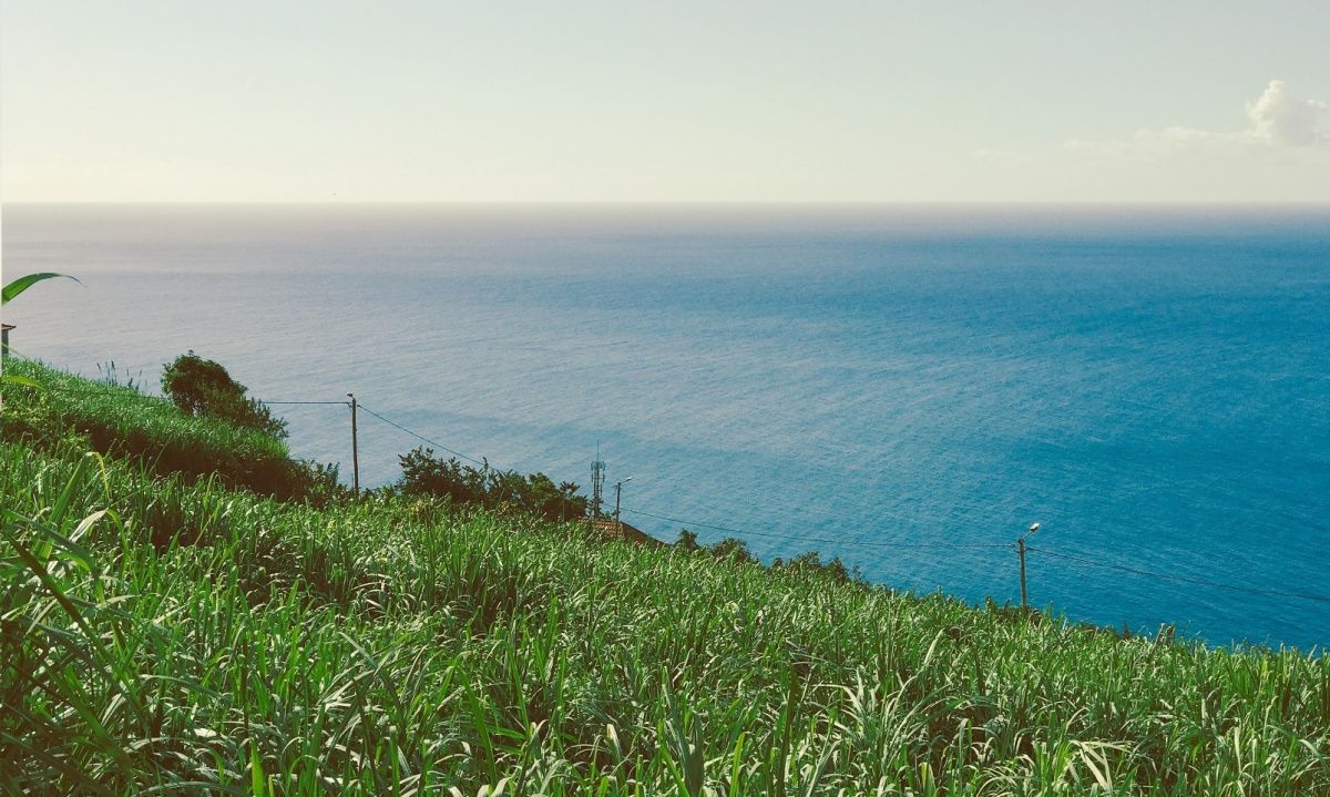 Дом на Мадейре, Португалия, 175 м² - фото 4