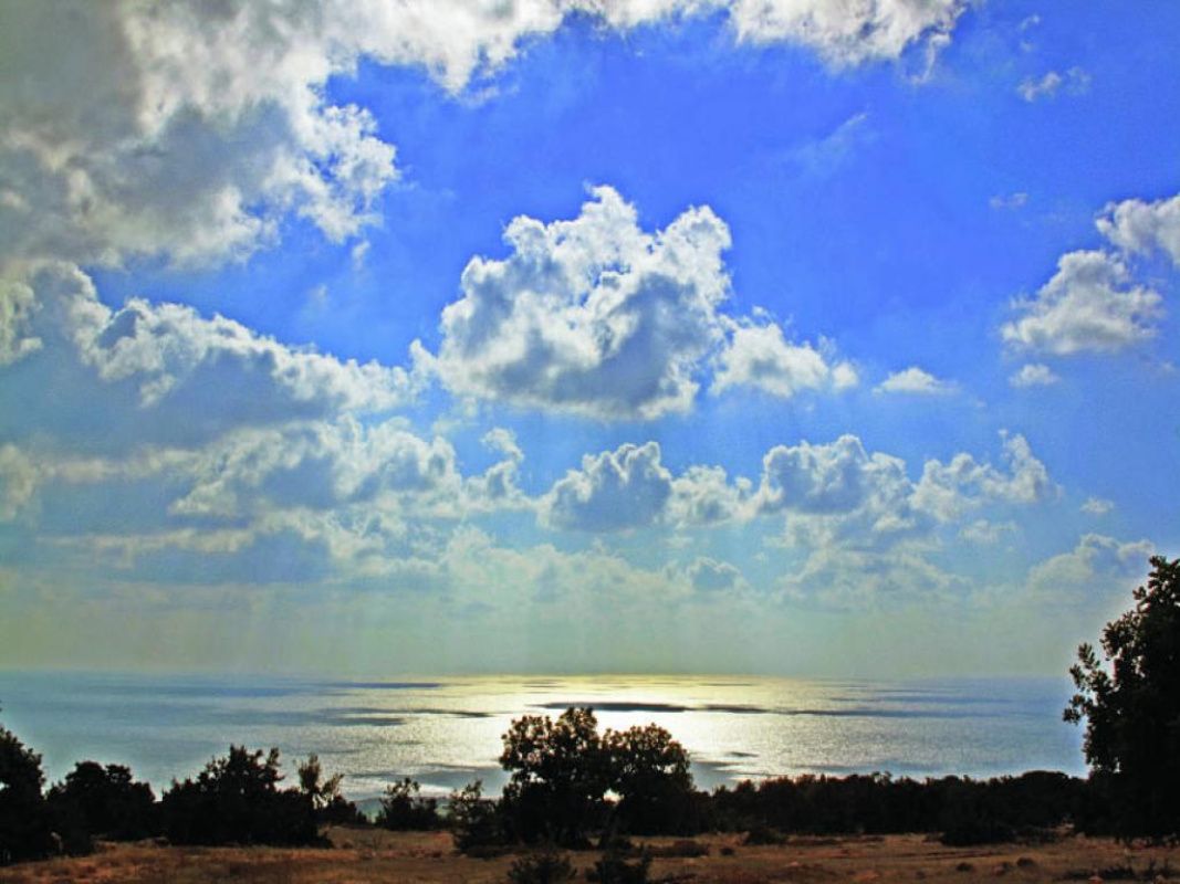 Дом в Пафосе, Кипр, 115 м² - фото 5