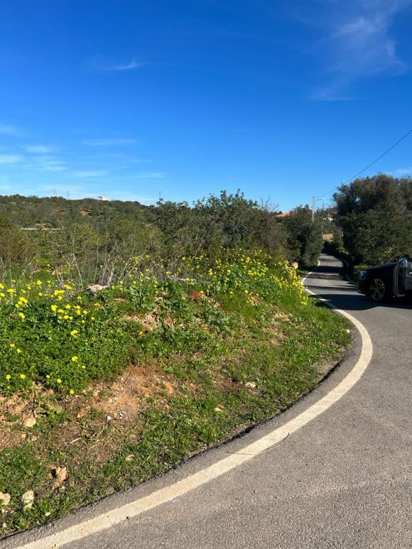 Поместье в Алгарве, Португалия, 127 770 сот. - фото 5