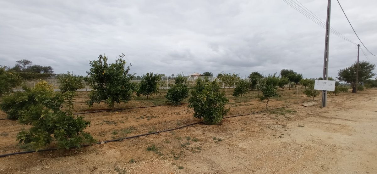 Отель, гостиница в Алгарве, Португалия, 2 000 м² - фото 5