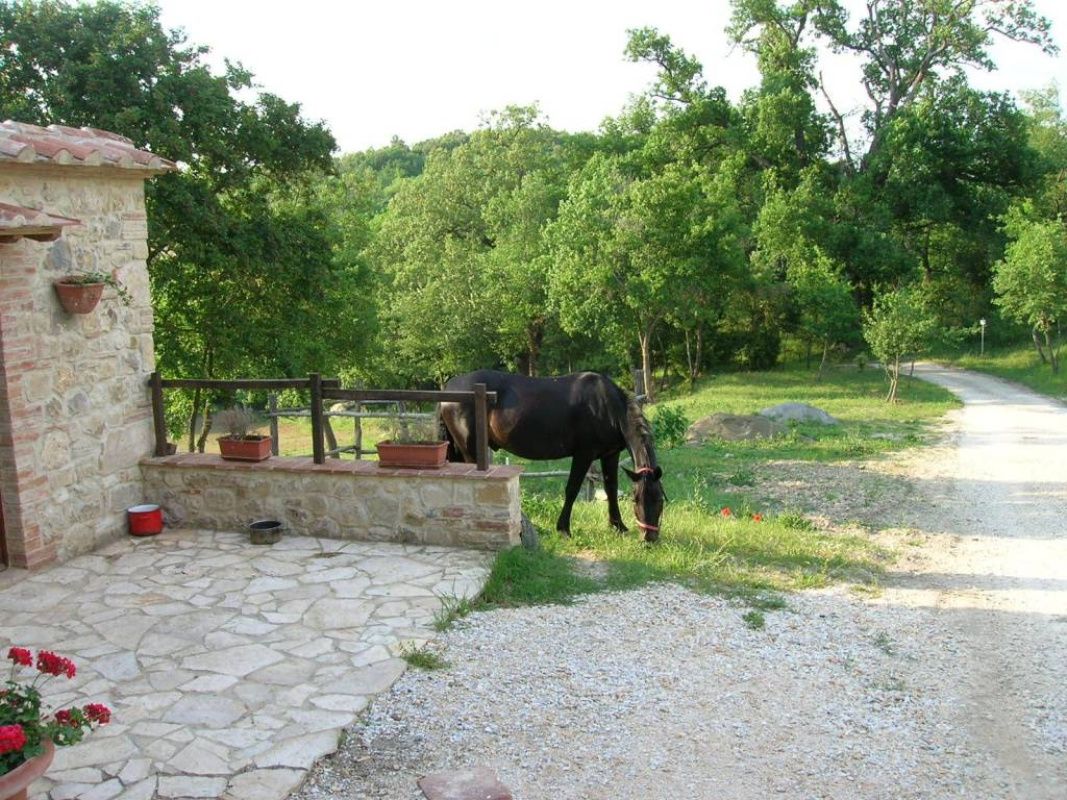 Поместье в Сиене, Италия, 600 м² - фото 7