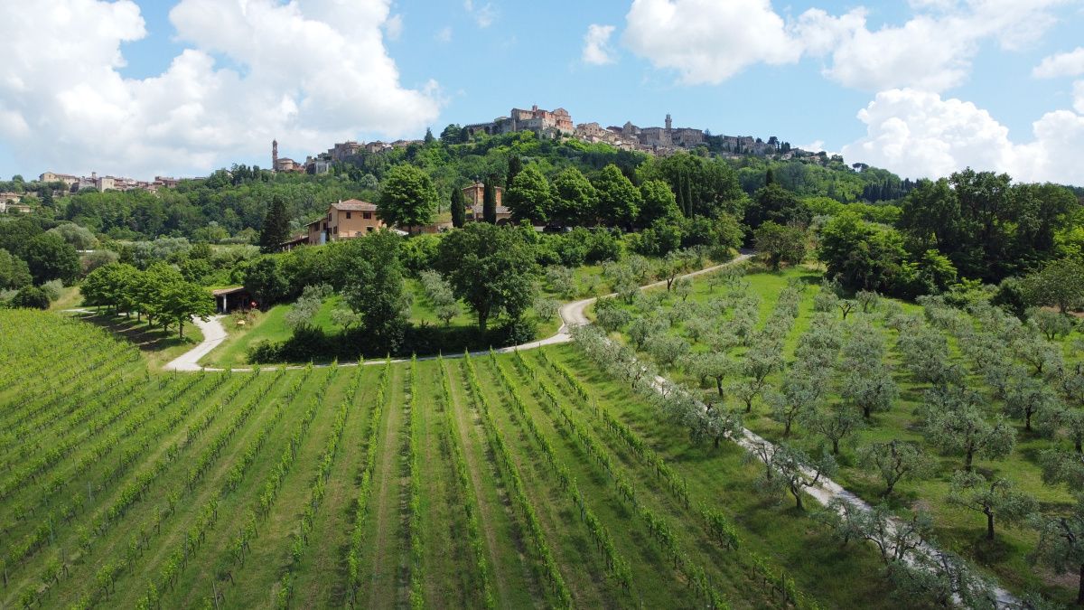 Поместье в Монтепульчано, Италия, 4 000 м² - фото 7