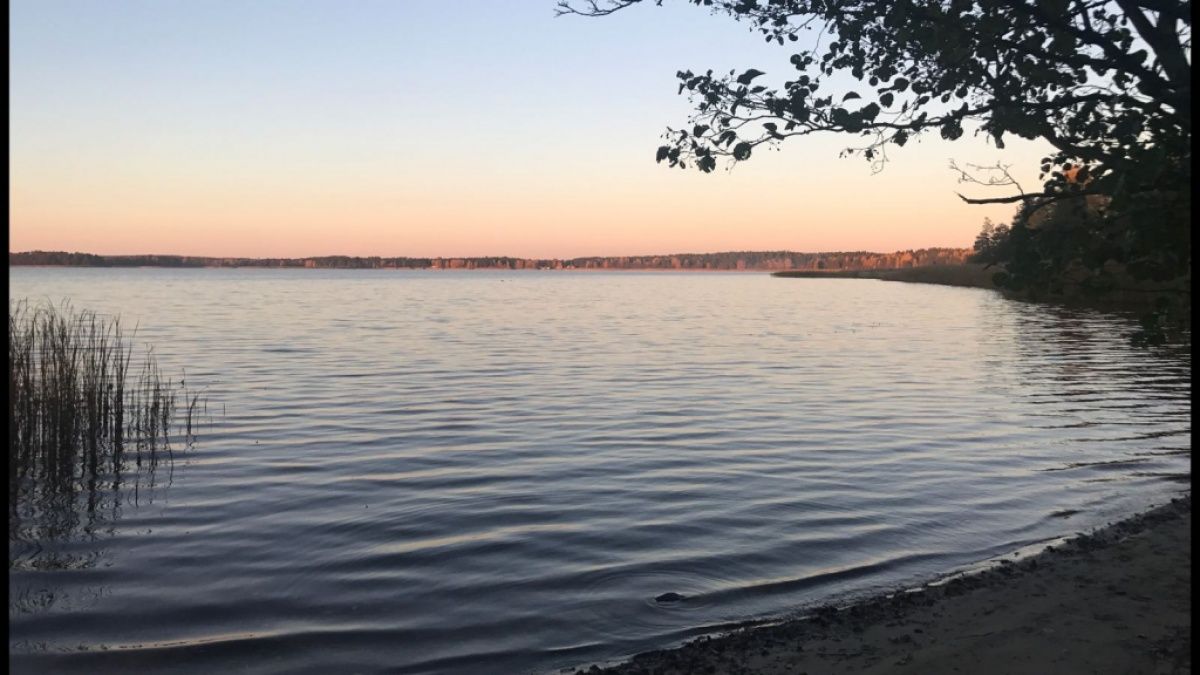 Дом в Рижском крае, Латвия, 230 м² - фото 7