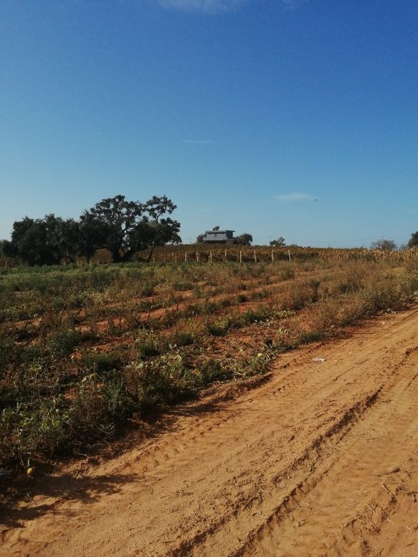 Поместье в Алгарве, Португалия, 101 520 м² - фото 8