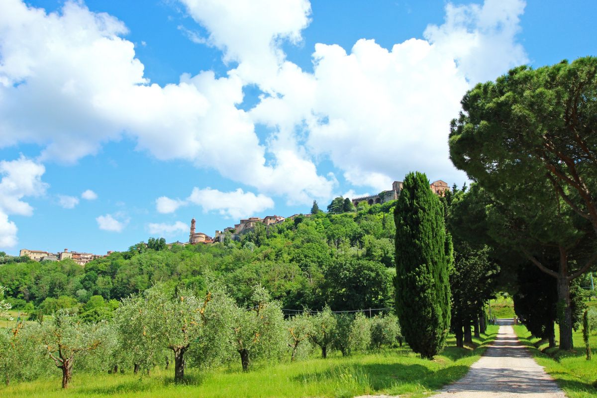 Поместье в Монтепульчано, Италия, 4 000 м² - фото 9