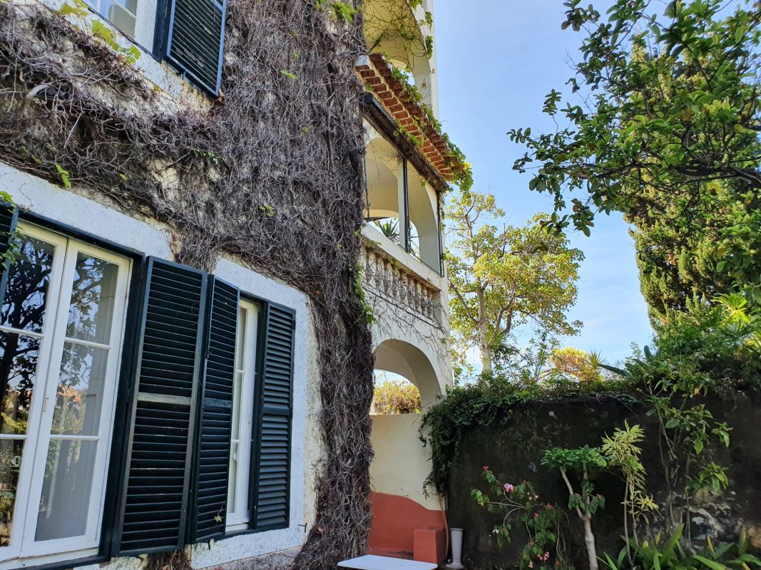 Поместье на Мадейре, Португалия, 4 900 сот. - фото 10