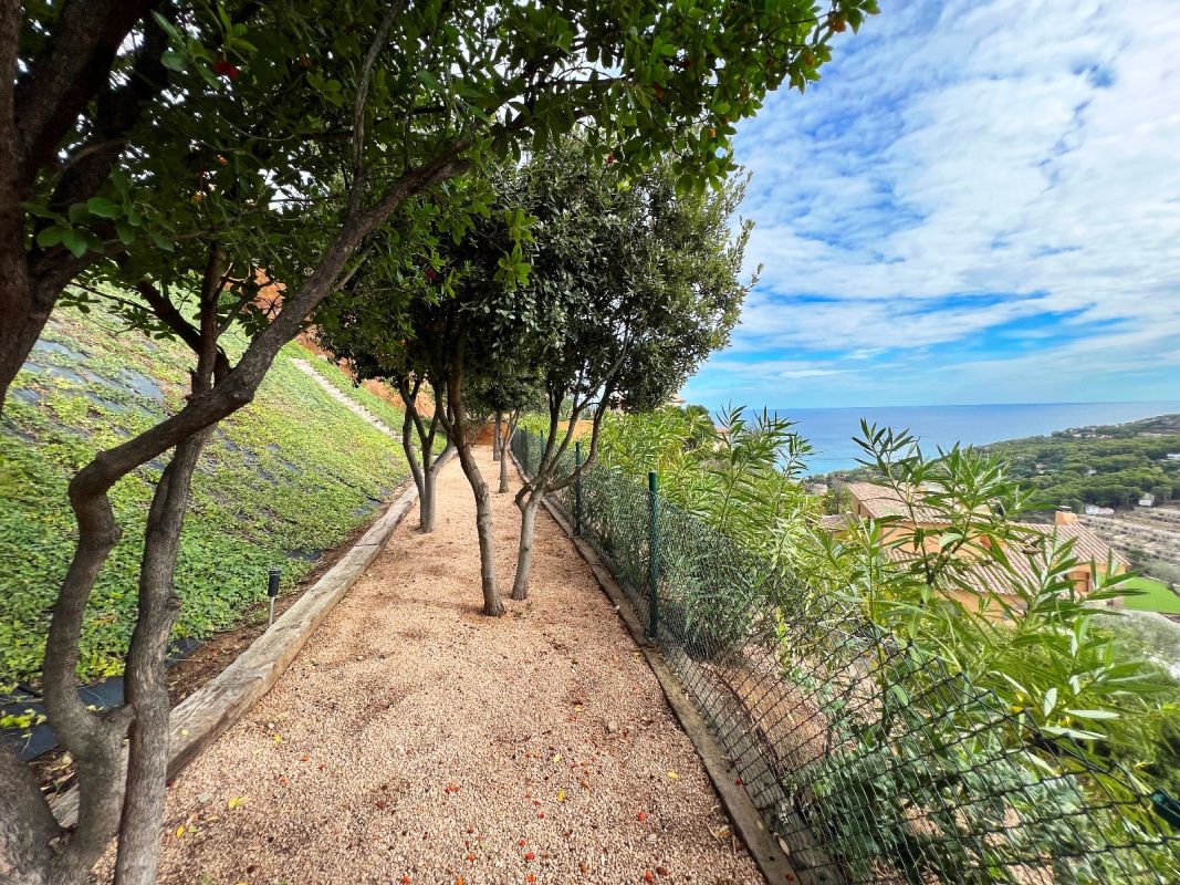 Дом на Коста-Брава, Испания, 337 м² - фото 11