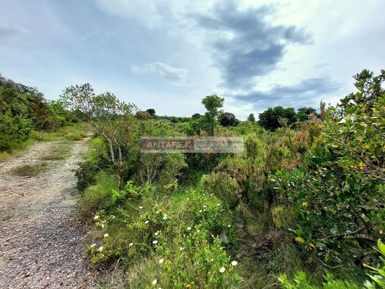 Земля на полуострове Луштица, Черногория, 648 м² - фото 2