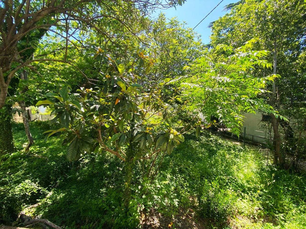 Дом в Сутоморе, Черногория, 173 м² - фото 6