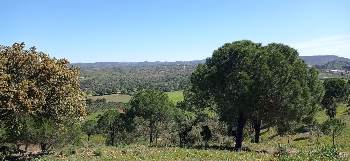 Инвестиционный проект в Алгарве, Португалия, 1 680 м² - фото 14