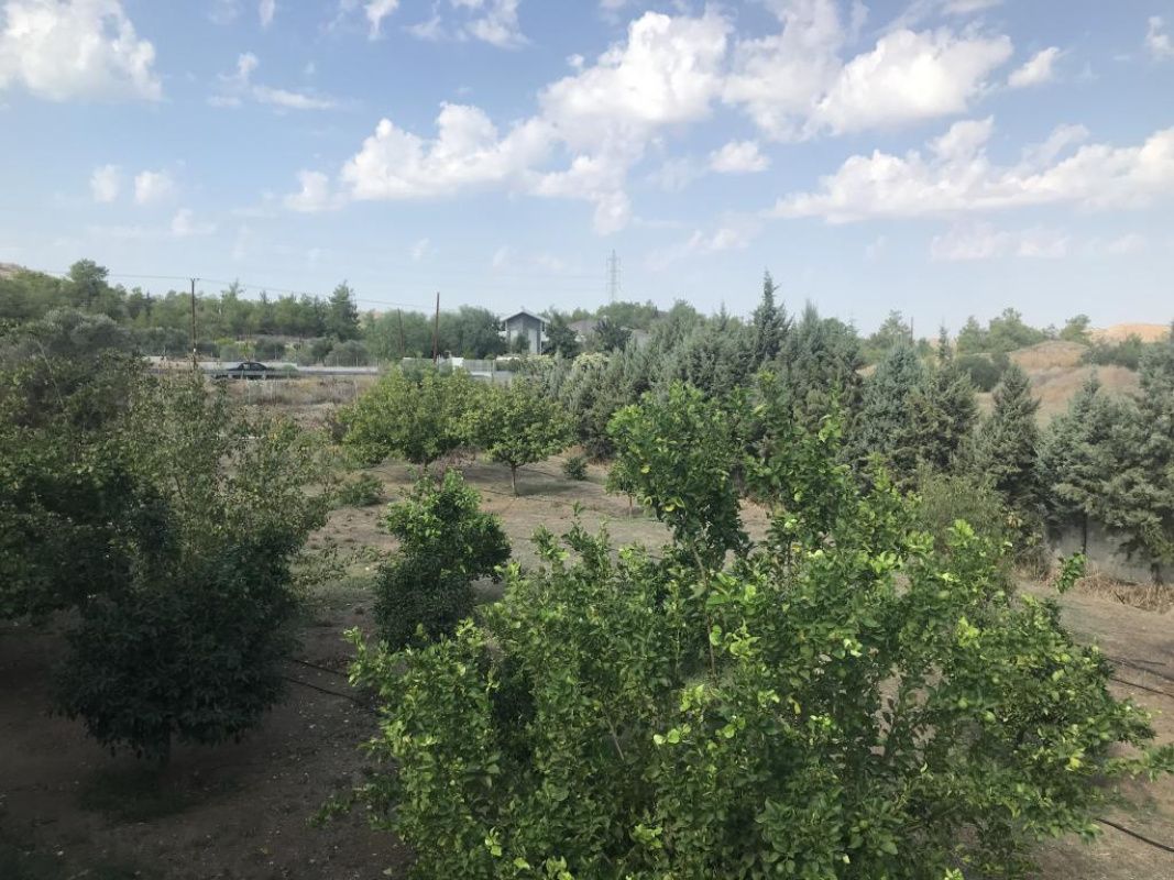 Дом в Ларнаке, Кипр, 500 м² - фото 14