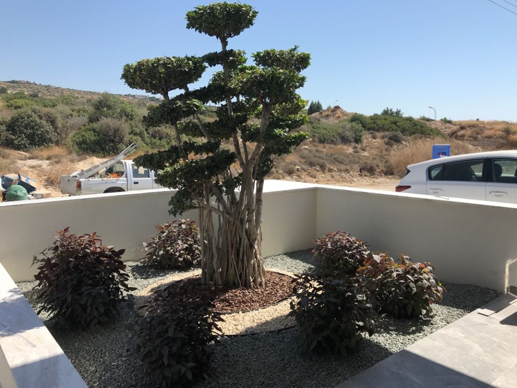 Дом в Лимасоле, Кипр, 766 м² - фото 14