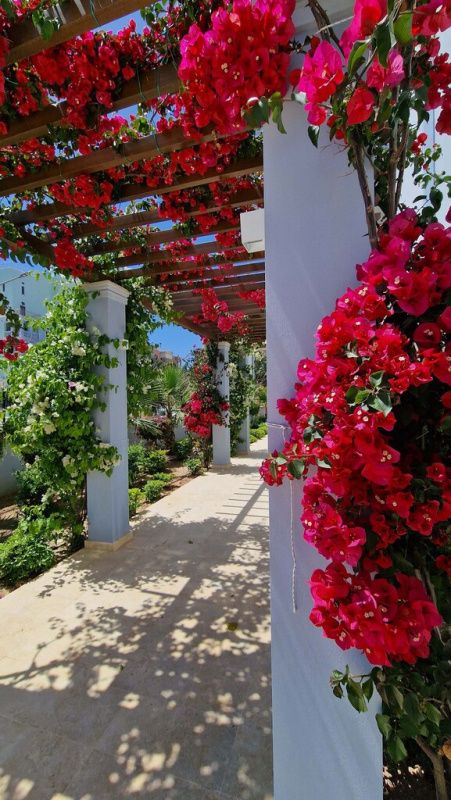 Квартира в Лимасоле, Кипр, 232 м² - фото 9