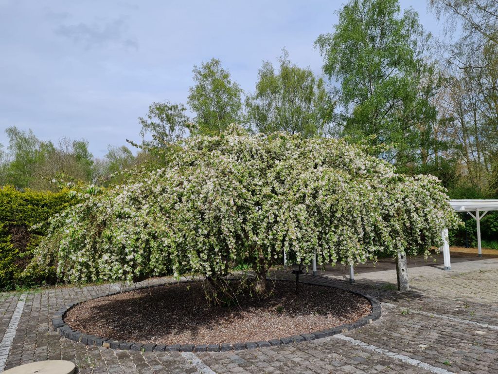 Дом в Дюссельдорфе, Германия, 180 м² - фото 13