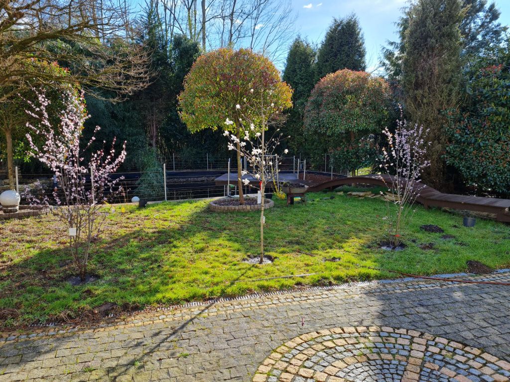 Дом в Дюссельдорфе, Германия, 180 м² - фото 12