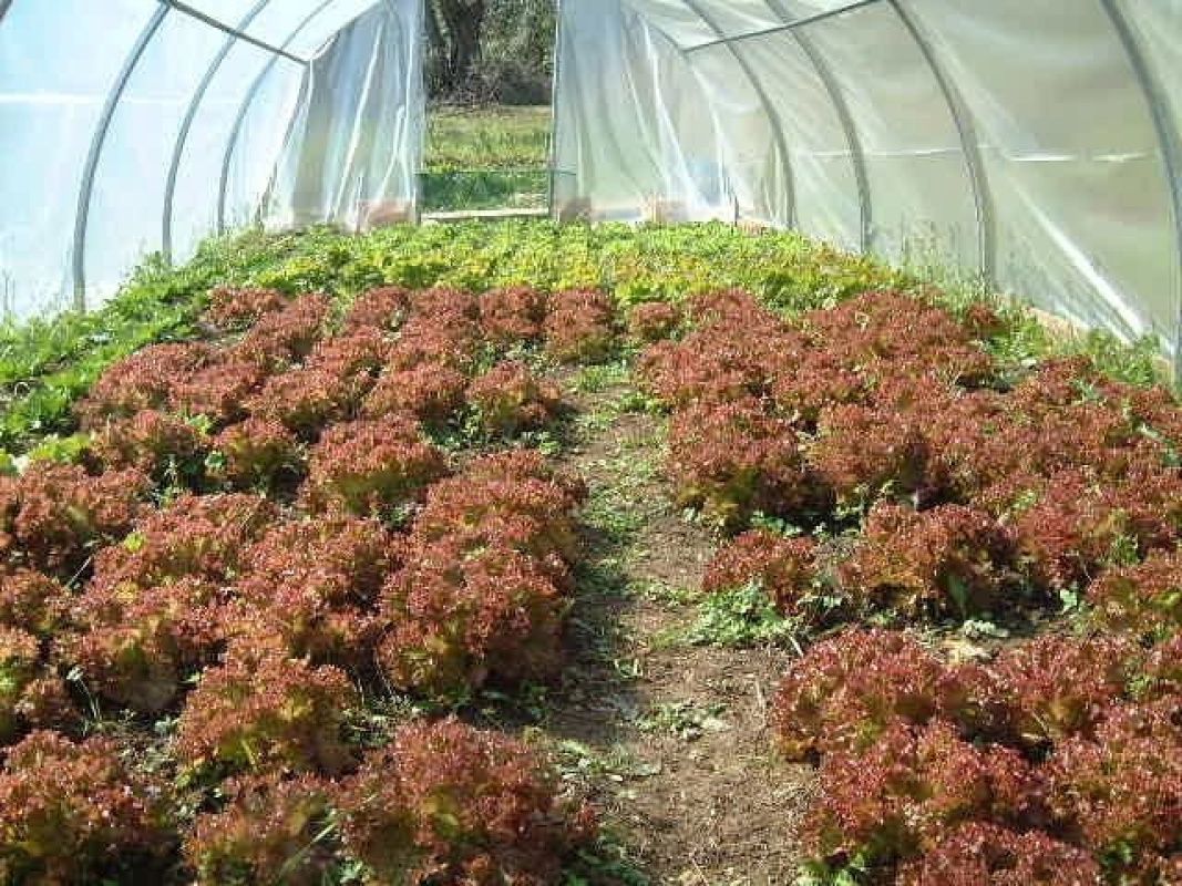 Дом в Портовенере, Италия, 150 м² - фото 10