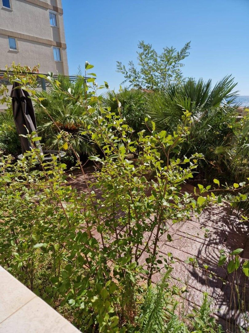 Квартира в Петроваце, Черногория, 90 м² - фото 9