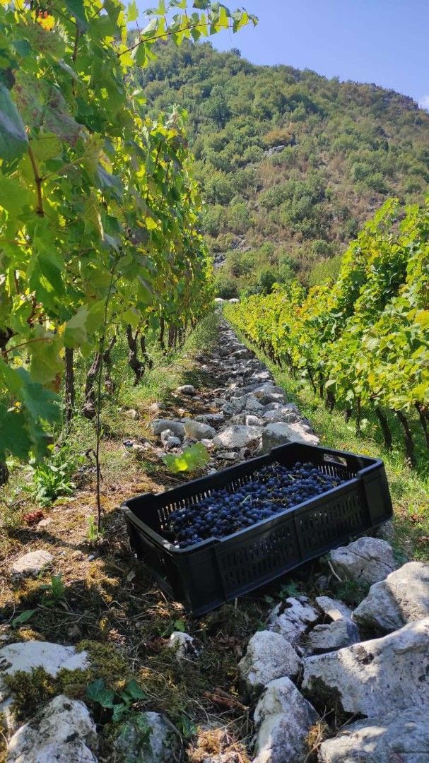 Дом на Скадарском озере, Черногория, 170 м² - фото 2