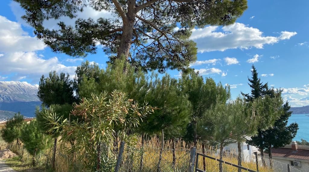 Земля в Баре, Черногория, 958 м² - фото 3