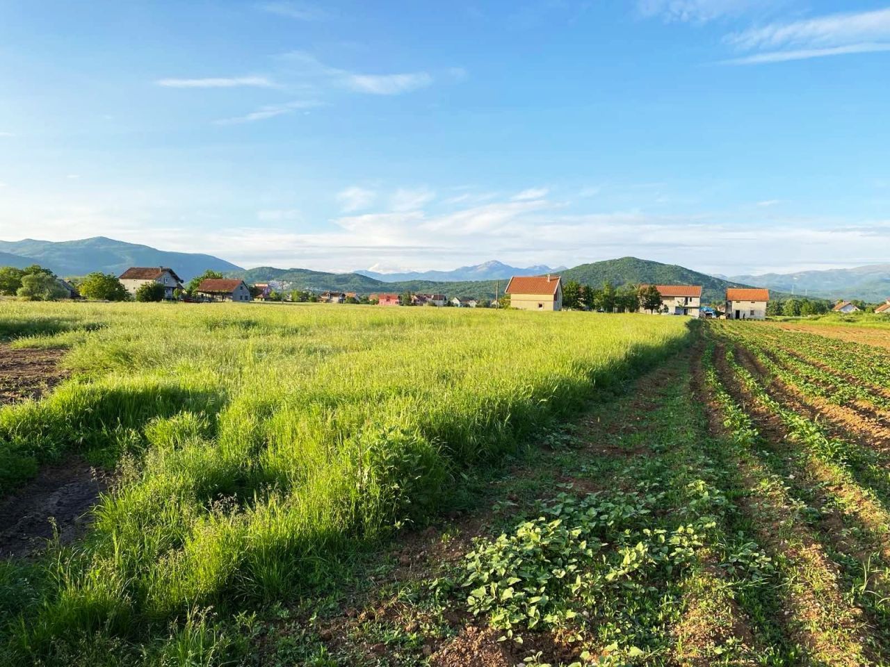 Земля в Никшиче, Черногория, 3 001 м² - фото 2