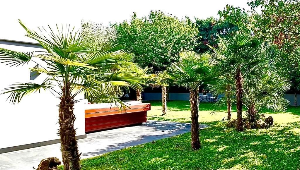 Вилла в Салониках, Греция, 785 м² - фото 8