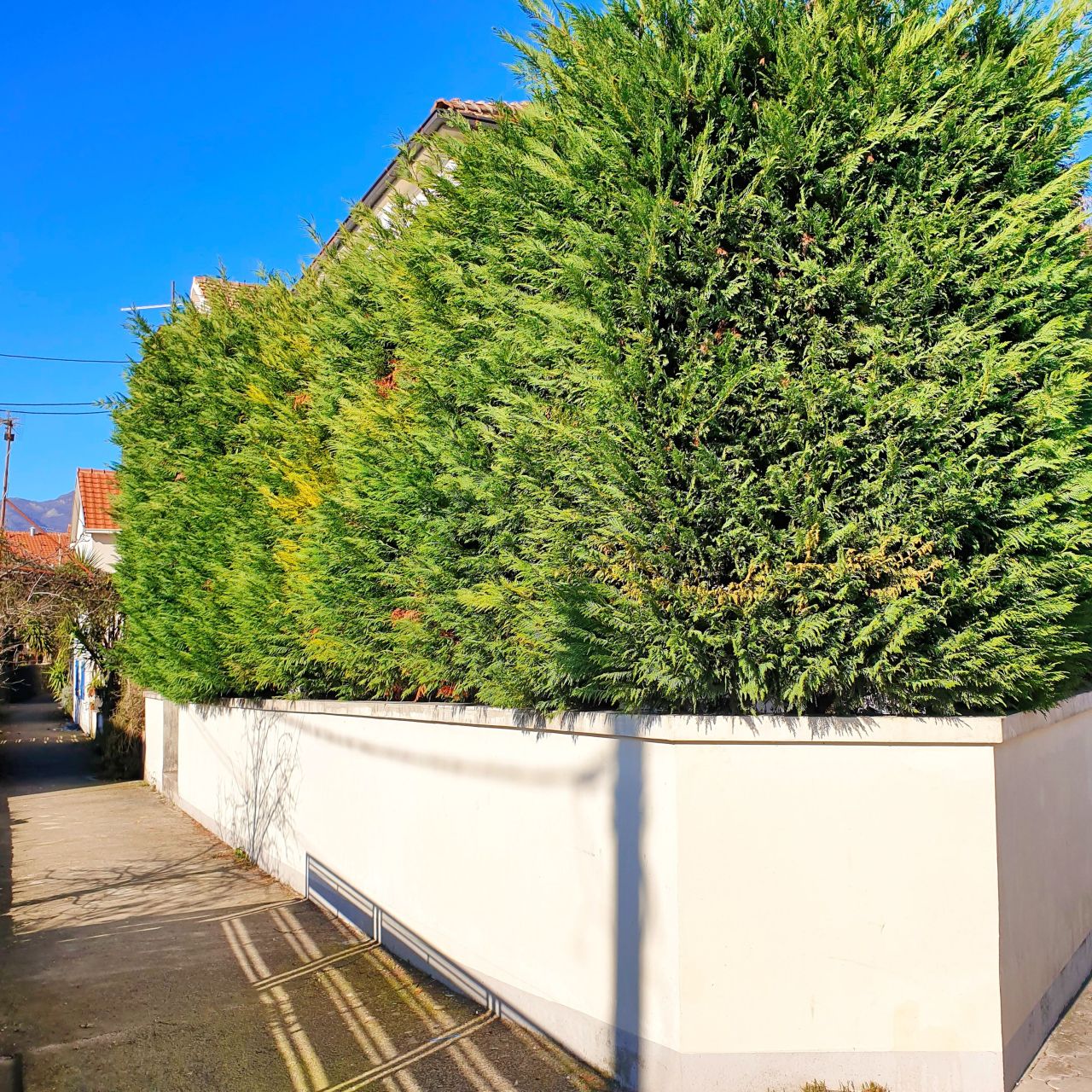 Дом в Тивате, Черногория, 325 м² - фото 7