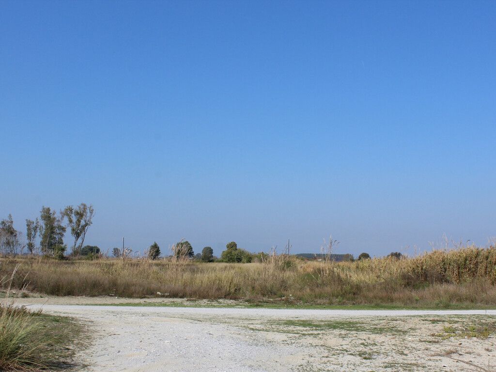 Земля в Олимпиаки-Акти, Греция, 20 000 м² - фото 2