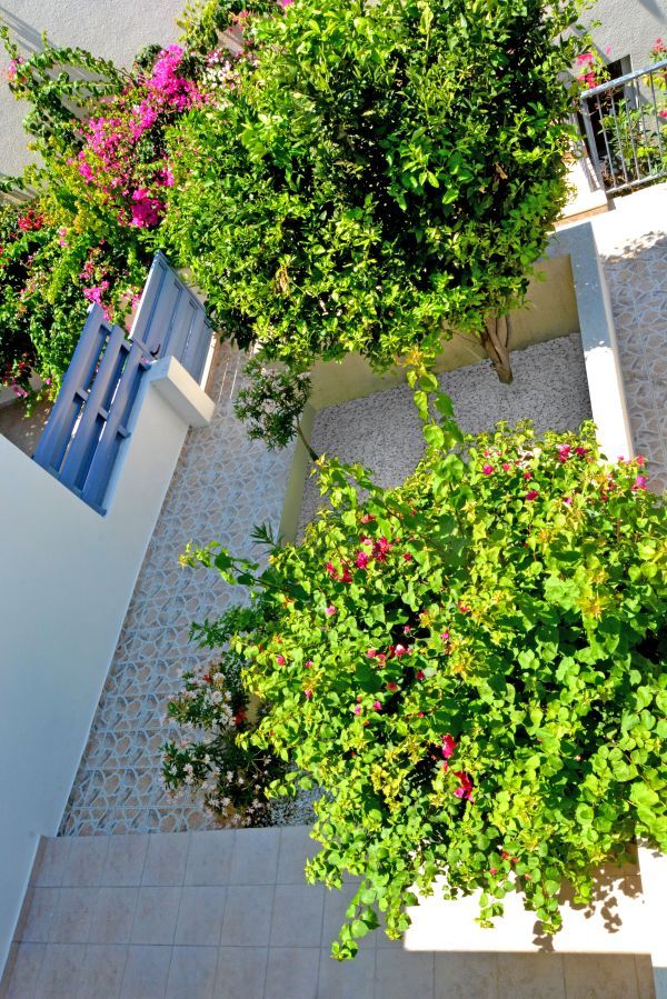 Таунхаус в Пафосе, Кипр, 90 м² - фото 10