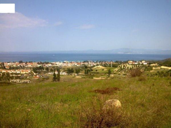 Земля на Халкидиках, Греция, 8 140 м2 - фото 1