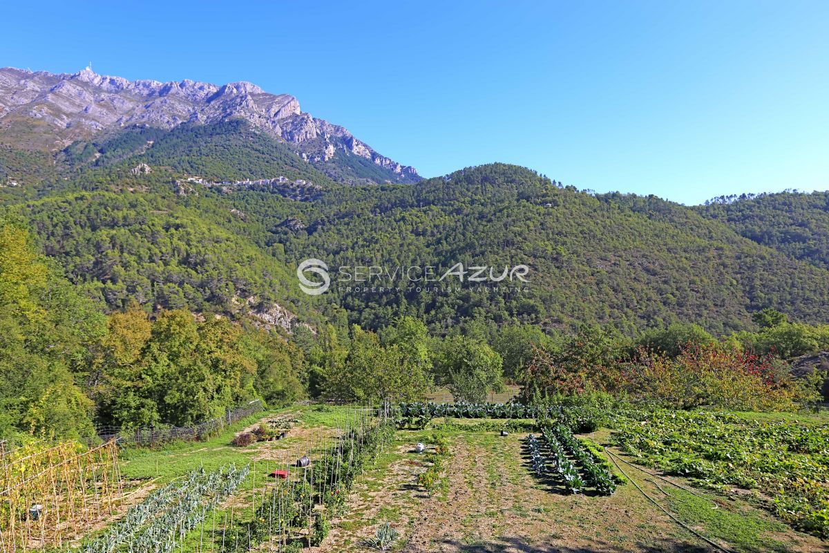 Вилла в Ницце, Франция, 1 000 м² - фото 6