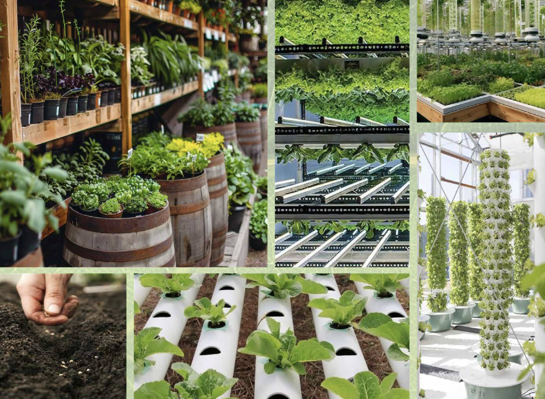 Вилла в Дубае, ОАЭ, 316 м² - фото 7