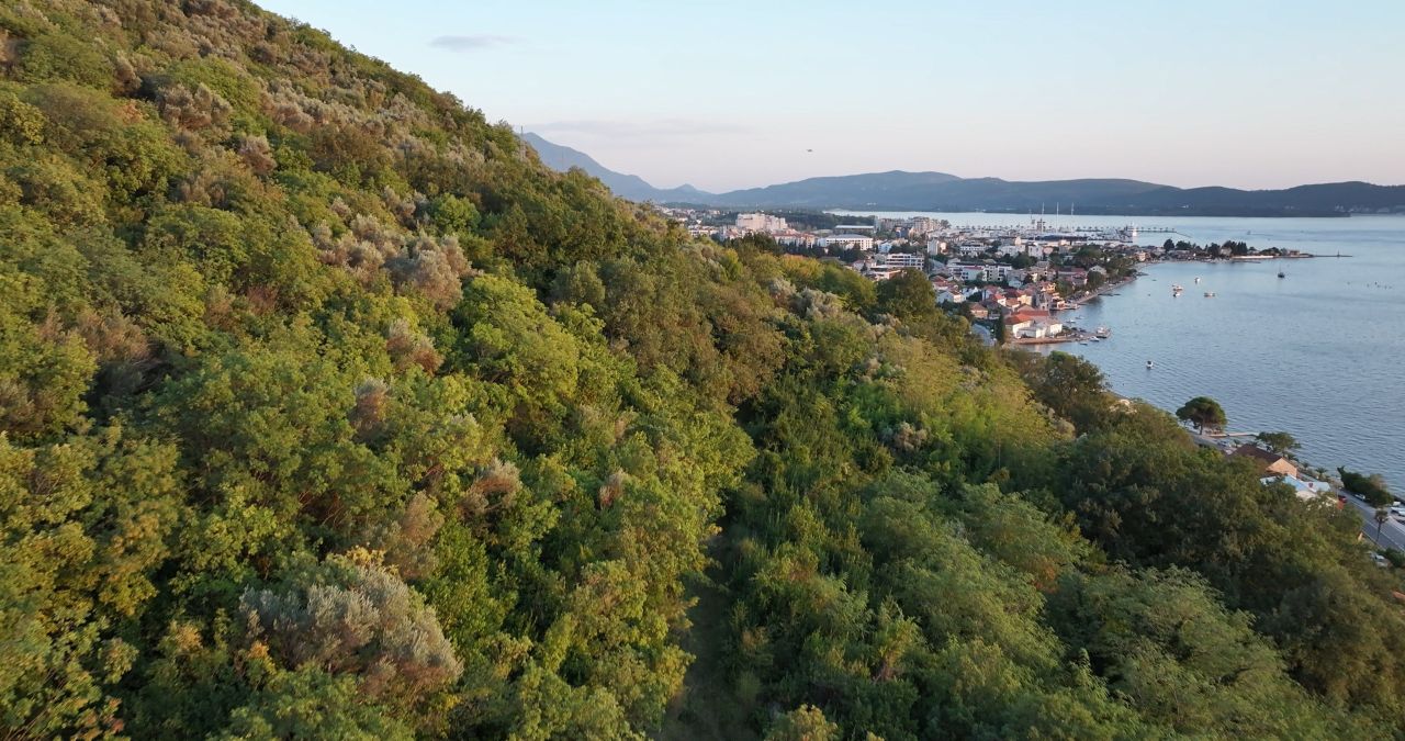 Земля в Тивате, Черногория, 11 342 м² - фото 6