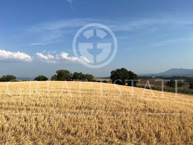 Дом в Кастильоне-дель-Лаго, Италия, 300 м² - фото 3