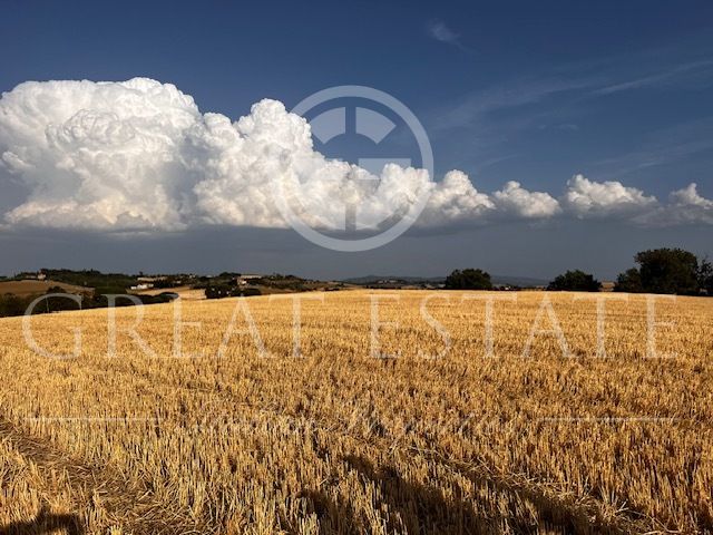 Дом в Кастильоне-дель-Лаго, Италия, 300 м² - фото 5