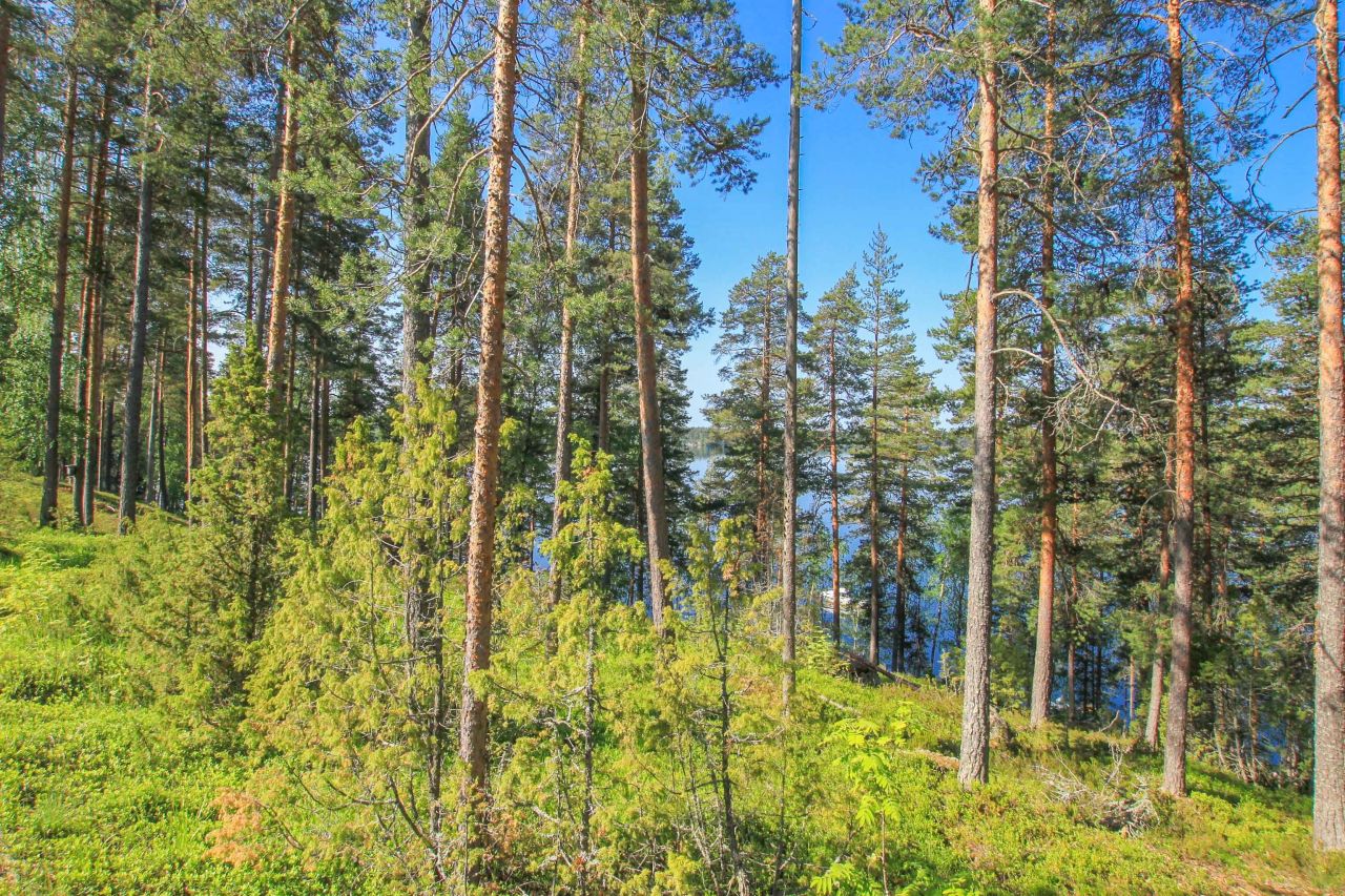 Таунхаус в Руоколахти, Финляндия, 30 м² - фото 8