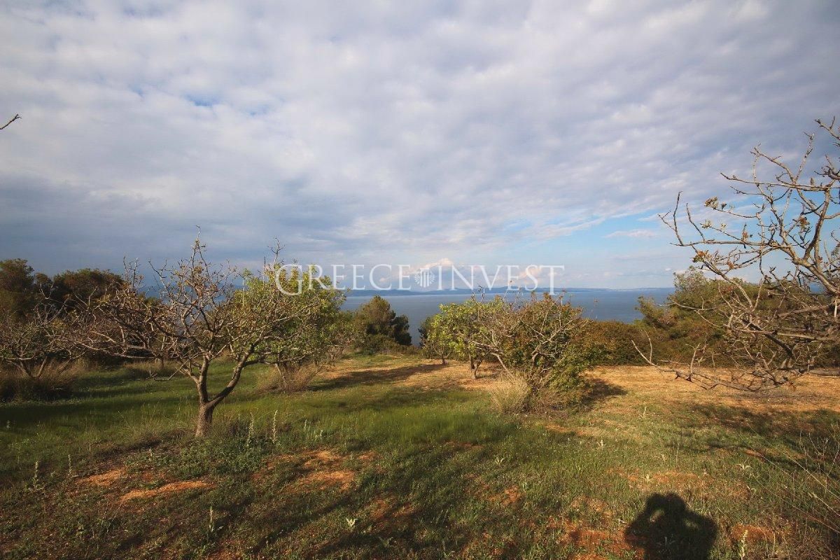 Земля на Халкидиках, Греция, 5 000 м² - фото 1
