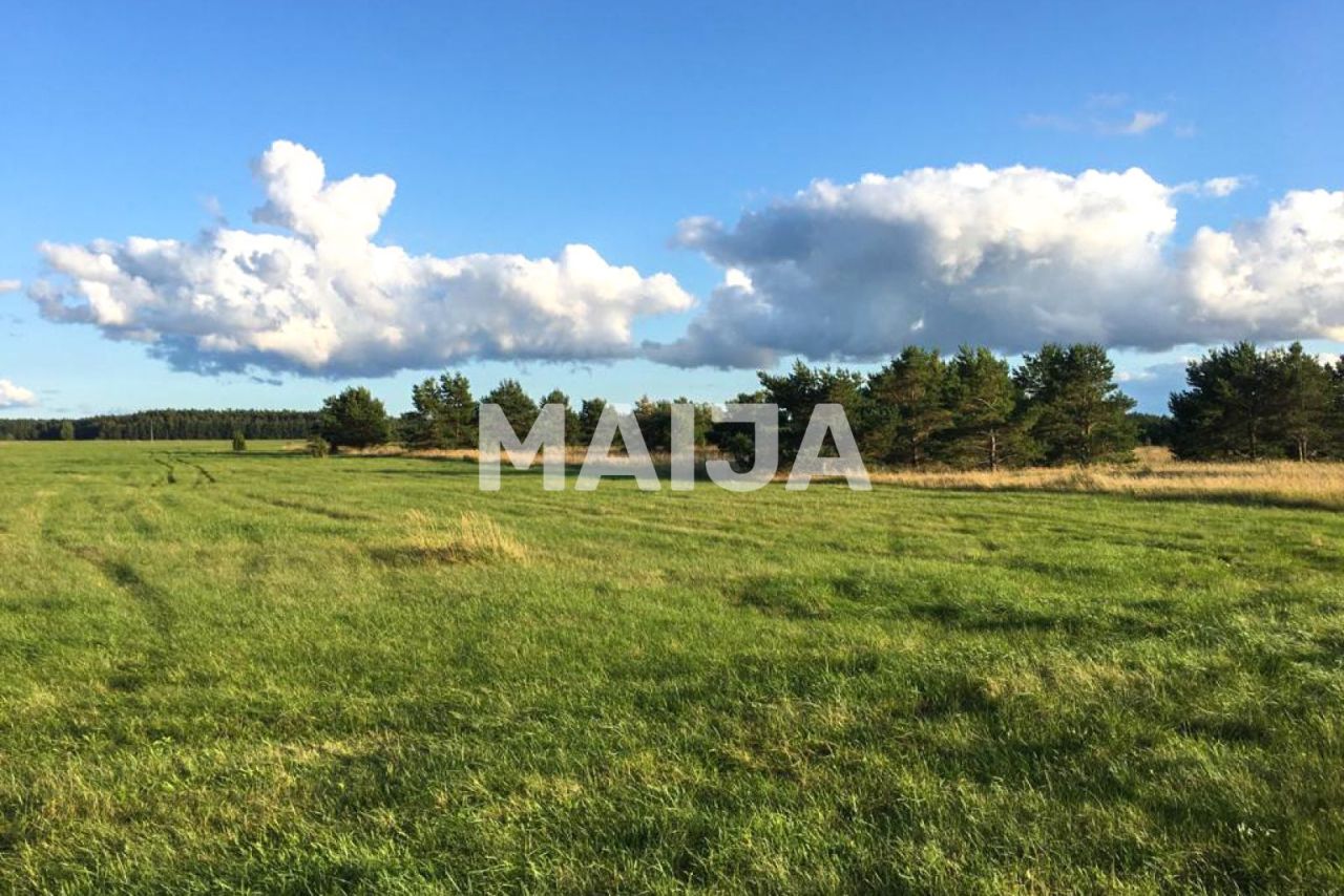 Земля Ulmale, Латвия, 18 600 м² - фото 2